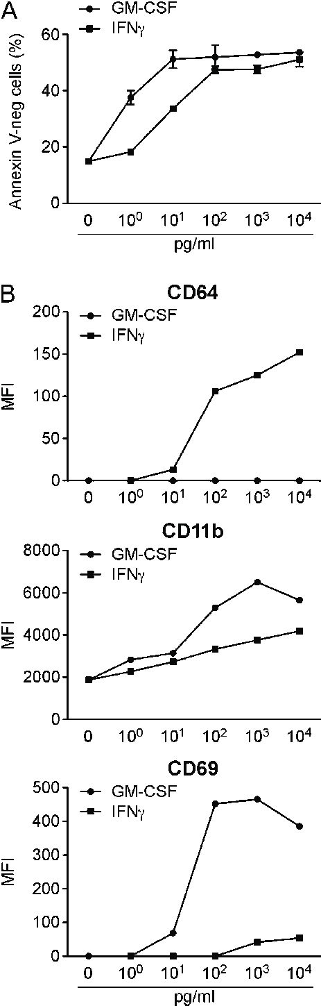 Recombinant GM-CSF and IFNc modulate the survival of, and expression of ...