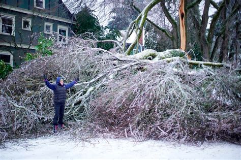 Oregon Ice Storm Subsiding, but Many Still in the Dark – Courthouse News Service