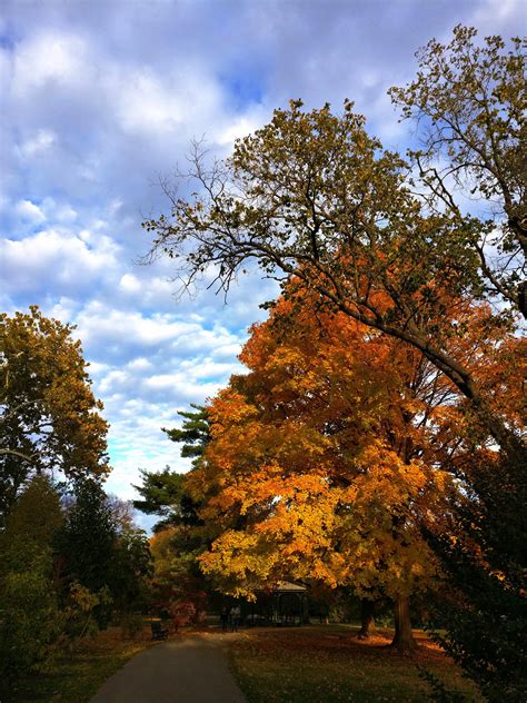 Tower Grove is one of the nation's finest examples of a Victorian public park : r/StLouis