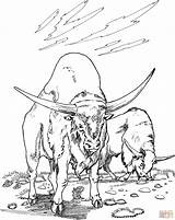 Buffalo Outline  Coloring Home sketch template