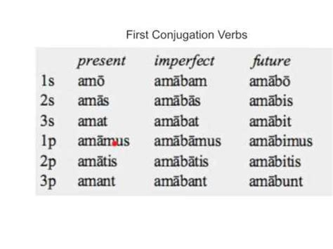 Latin 1st Conjugation Verbs Diagram | Quizlet