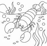 Lobster Coloring Clipart Printable Pages Cartoon Drawing Colouring  sketch template
