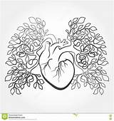 Human Lungs Coloring Pages sketch template