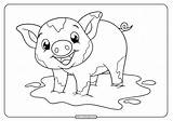 Free Coloring Pages Pigs sketch template