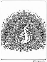 Peacock Mandala Coloring Pages  Free Printable PDFs sketch template