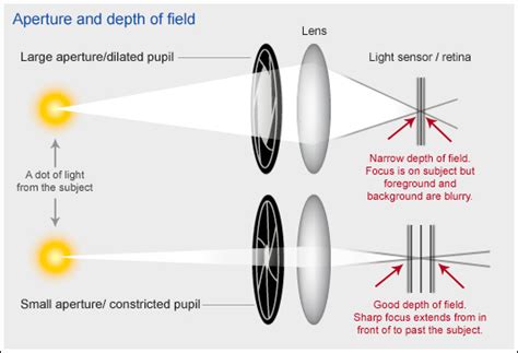 Camera Aperture Diagram