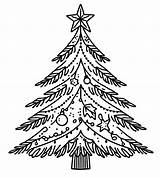 Perfect Christmas Tree coloring Page  Download Print Or Color Online sketch template