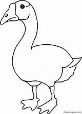 Goose Coloring Pages 28 Free Printables  ColoringAll sketch template