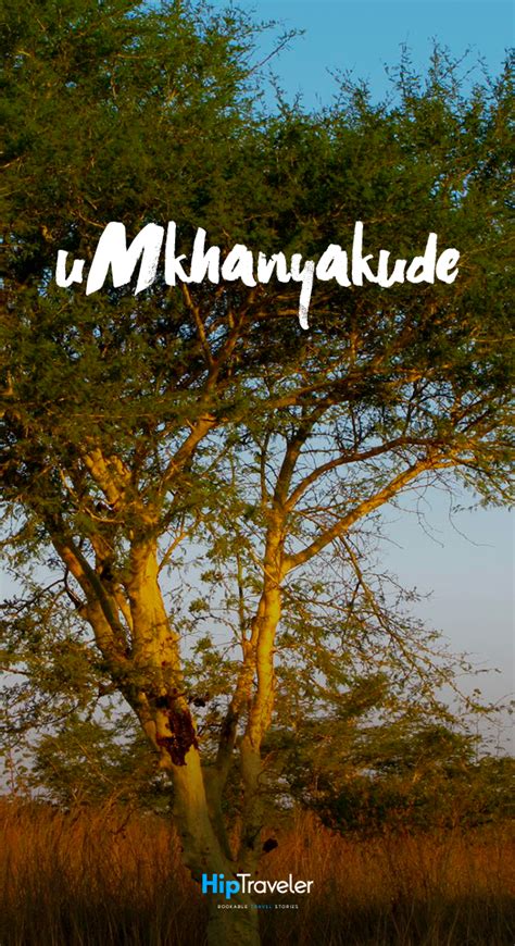 uMkhanyakude is the northernmost of the 11 districts of the KwaZulu ...