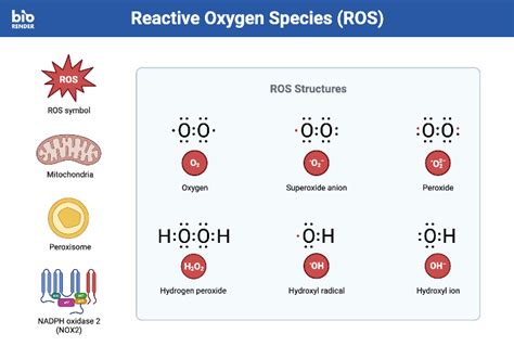 Icon Pack - Reactive Oxygen Species (ROS) | BioRender Science Templates