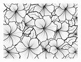 Coloring Book For Adult And Older Children Page With Flowers  sketch template