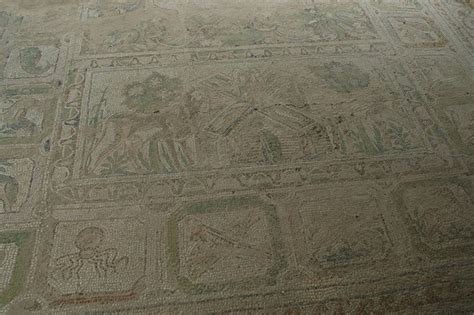 Amphipolis, Basilica A, Mosaic, Detail (2) - Livius