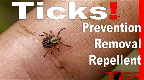 How to Prevent and Remove Ticks! - Longer Life Plan