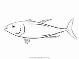 Tuna Terry Yellow Fin Coloring Page For Kids  Free Printable sketch template