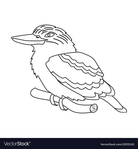 Kookaburra sitting on branch icon in outline style