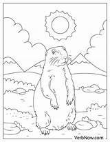 Free GOPHER Coloring Pages For Download Printable PDF sketch template