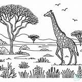 47 Girafas Para Colorir  Páginas Imprimir Grátis sketch template