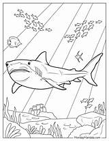 34 Shark Coloring Pages Free PDF Printables sketch template