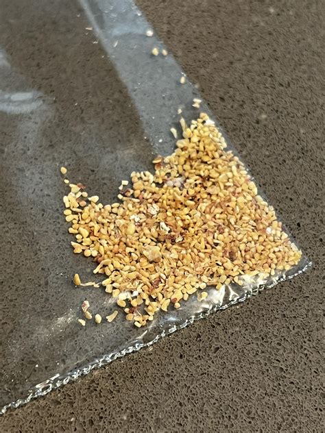 Termite Droppings? : r/Termites