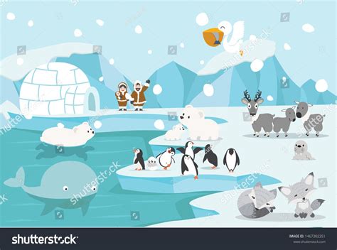 Animals North Pole Arctic Landscape Stock Vector (Royalty Free ...