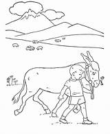 Coloring Ane Disegni Colorat Donkey Asno Mange Esel Animale Asino Magar  sketch template