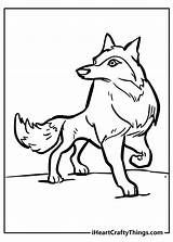 Free Arctic Wolf Coloring Pages sketch template