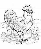 Rooster Coloring Pages To Print sketch template