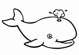 Whale Coloring Pages For Kids At GetColoringscom  Free printable sketch template