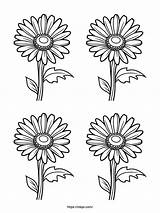 Free Printable Quadruple Gerbera Coloring Page · InkPx sketch template