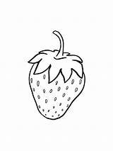 Strawberry coloring pages  ColoringLib sketch template
