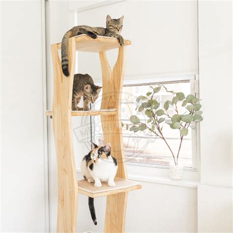 Introducing Ultra-Modern Cat Trees You AND Your Cat Will Love – Meowingtons