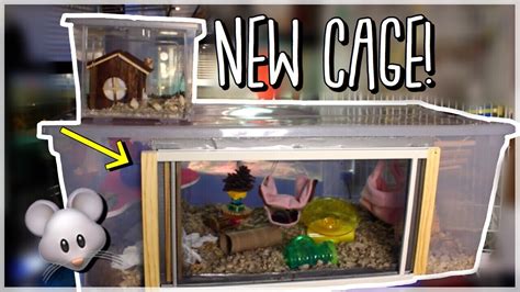 NEW Mouse Cage Tour! | How To Make An Awesome Bin Cage! | DIY Rodent ...