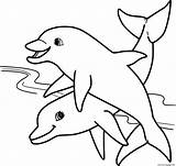 Two Young Dolphins In The Sea Coloring Page Printable sketch template