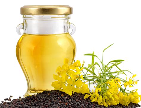 RAPESEED OIL Exporters in Tamil Nadu India by SAINT GLOBAL TRADING | ID - 5355694