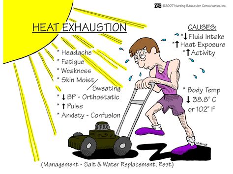 What are the symptoms of heat stroke, heat rash, prickly heat and heat exhaustion? | Metro News