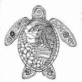 Pin by Joyce C On Crafts In 2024  Turtle coloring Pages sketch template
