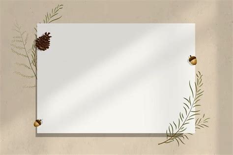 Free Photo | Wall blank paper frame with acorn decoration | Paper background design, Background ...