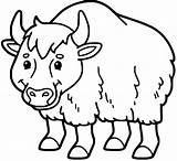 40  Yak Coloring Pages Free Printable PDF & Online sketch template