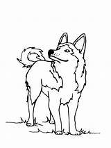 Husky Hond Kolorowanka Pies Syberyjski Kolorowanki Leukekleurplaten  sketch template