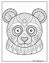 24 Panda Coloring Pages Free Printable PDFs sketch template