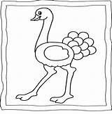 Ostrich Coloring Book  Easy And Fun Pages For Kids sketch template