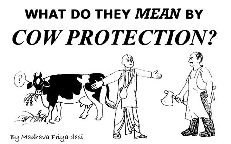 What is Cow Protection? - ISCOWP