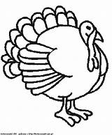 Turkey Feather Coloring Page  Home sketch template