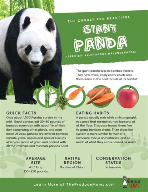 Eat Like a Giant Panda: Apple and Bamboo Stir Fry - The Produce Moms