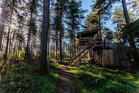 The Ultimate Treehouse Planning Guide — Exploratory Glory Travel Blog