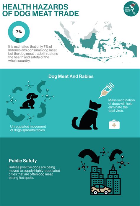 Dog Meat Trade And Rabies In Indonesia | The ASEAN Post