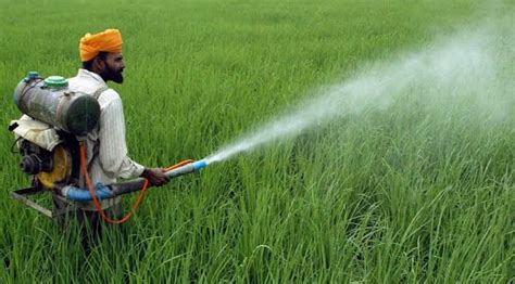 Pesticides in Agriculture