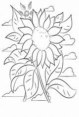 68 Sunflower Coloring Pages  ColoringPagesOnlycom sketch template