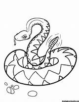 Rattlesnake Coloring Pages sketch template