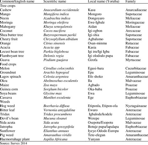 Scientific Names For Trees - slidesharetrick